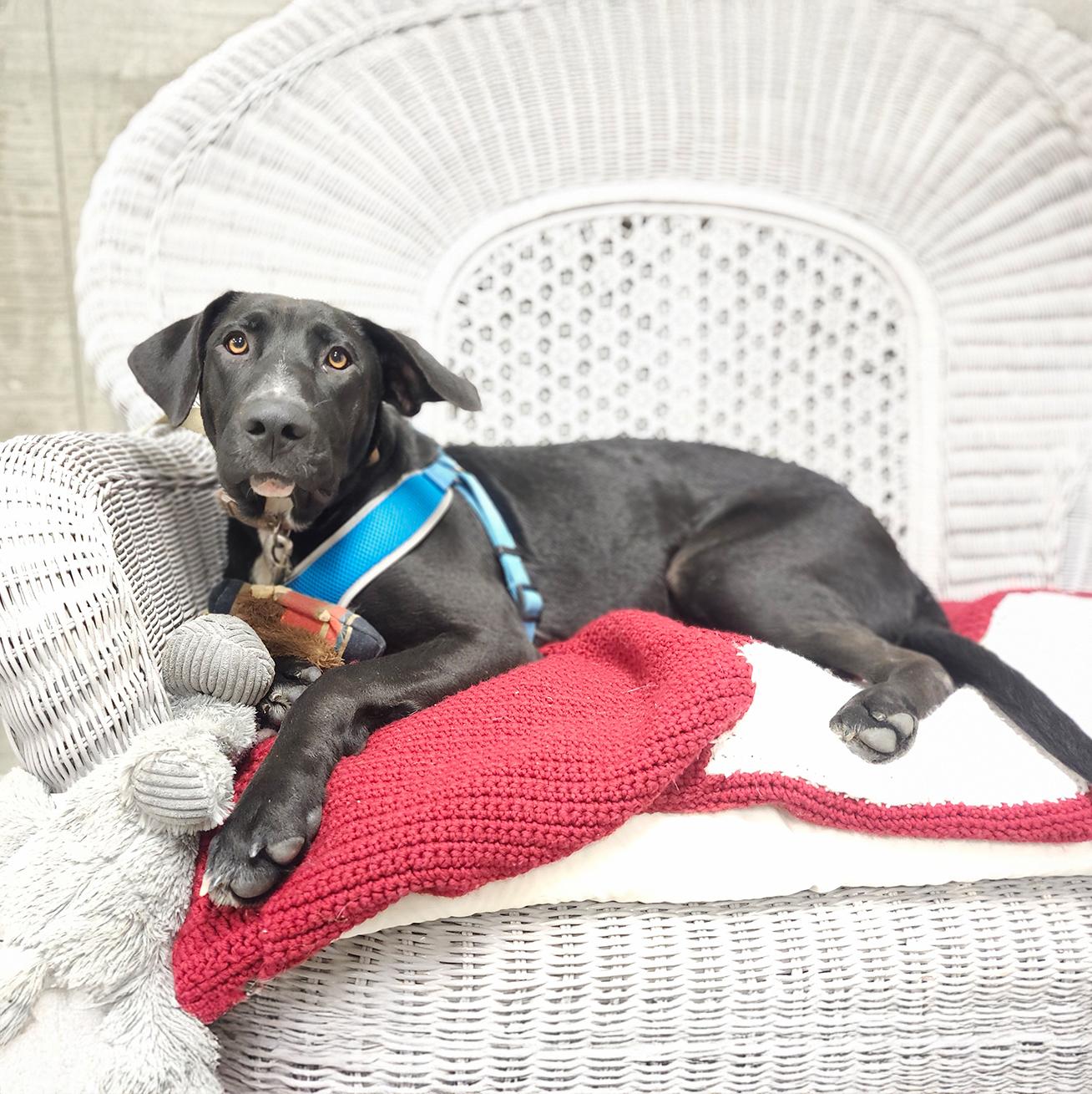 Carrie Underwood photo 1