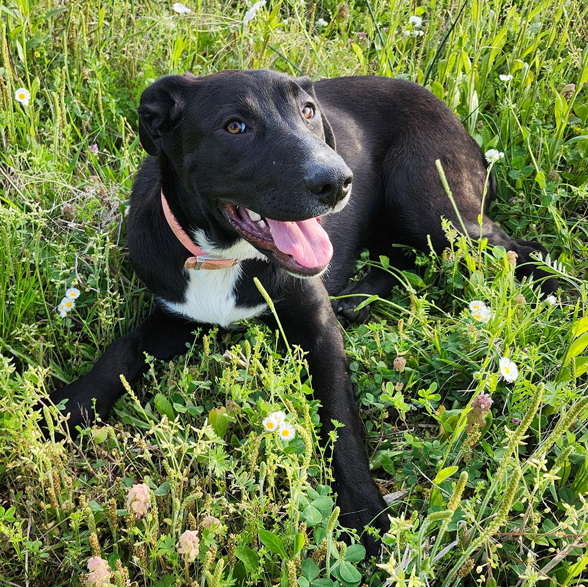 Carrie Underwood thumbnail 3