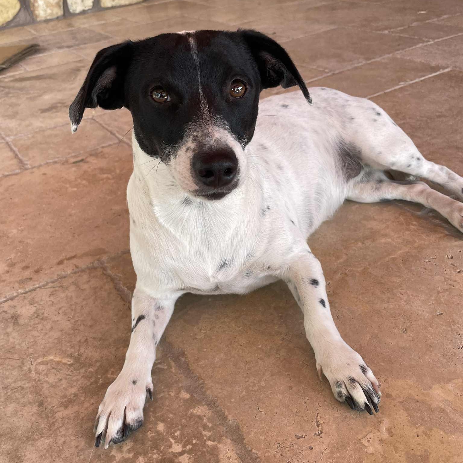 Coco Rosie thumbnail 4