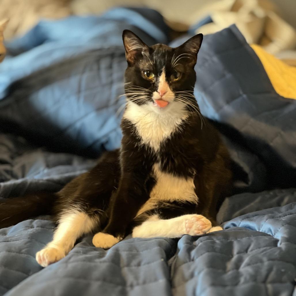 Soldier — thumbnail 2