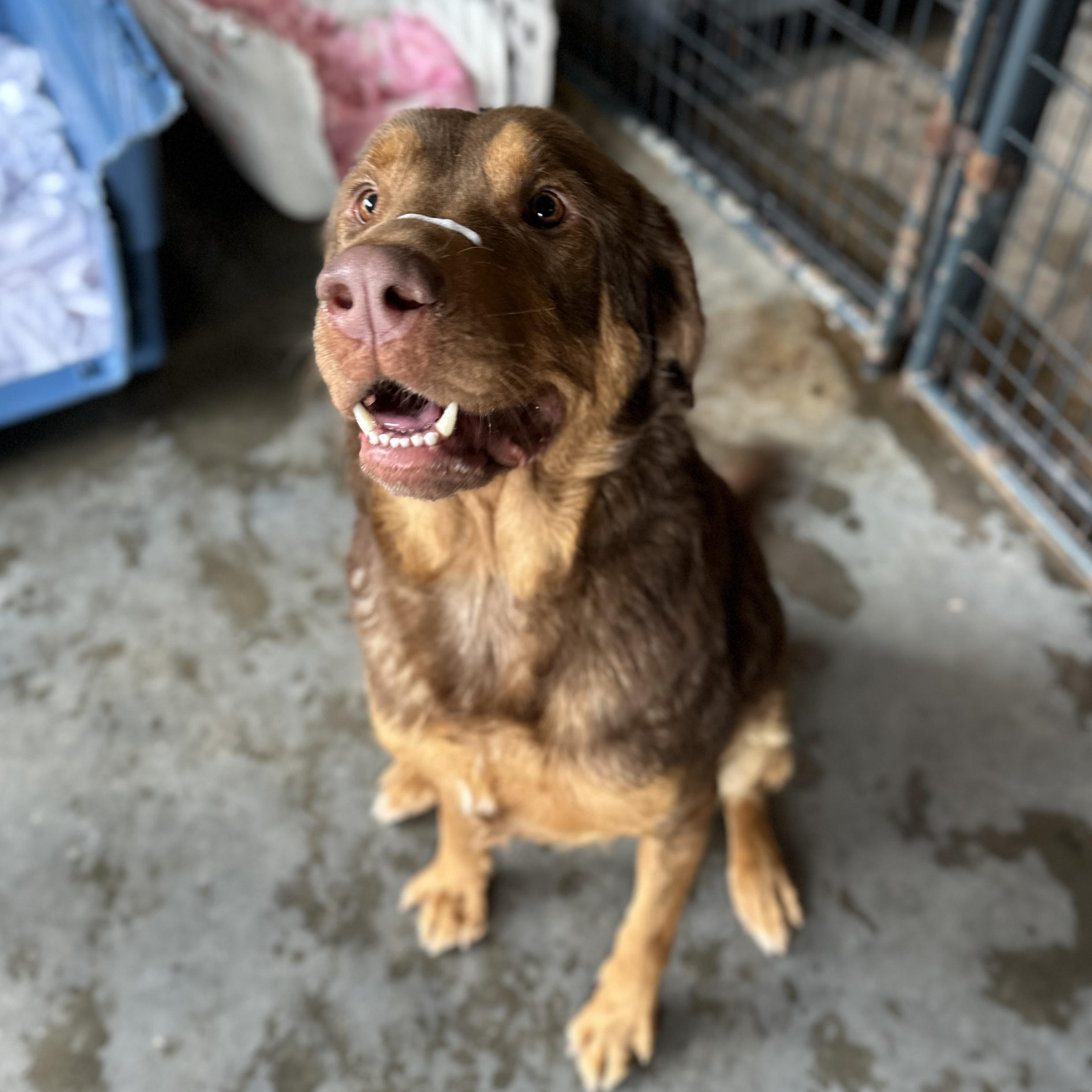 Kingston — thumbnail 2