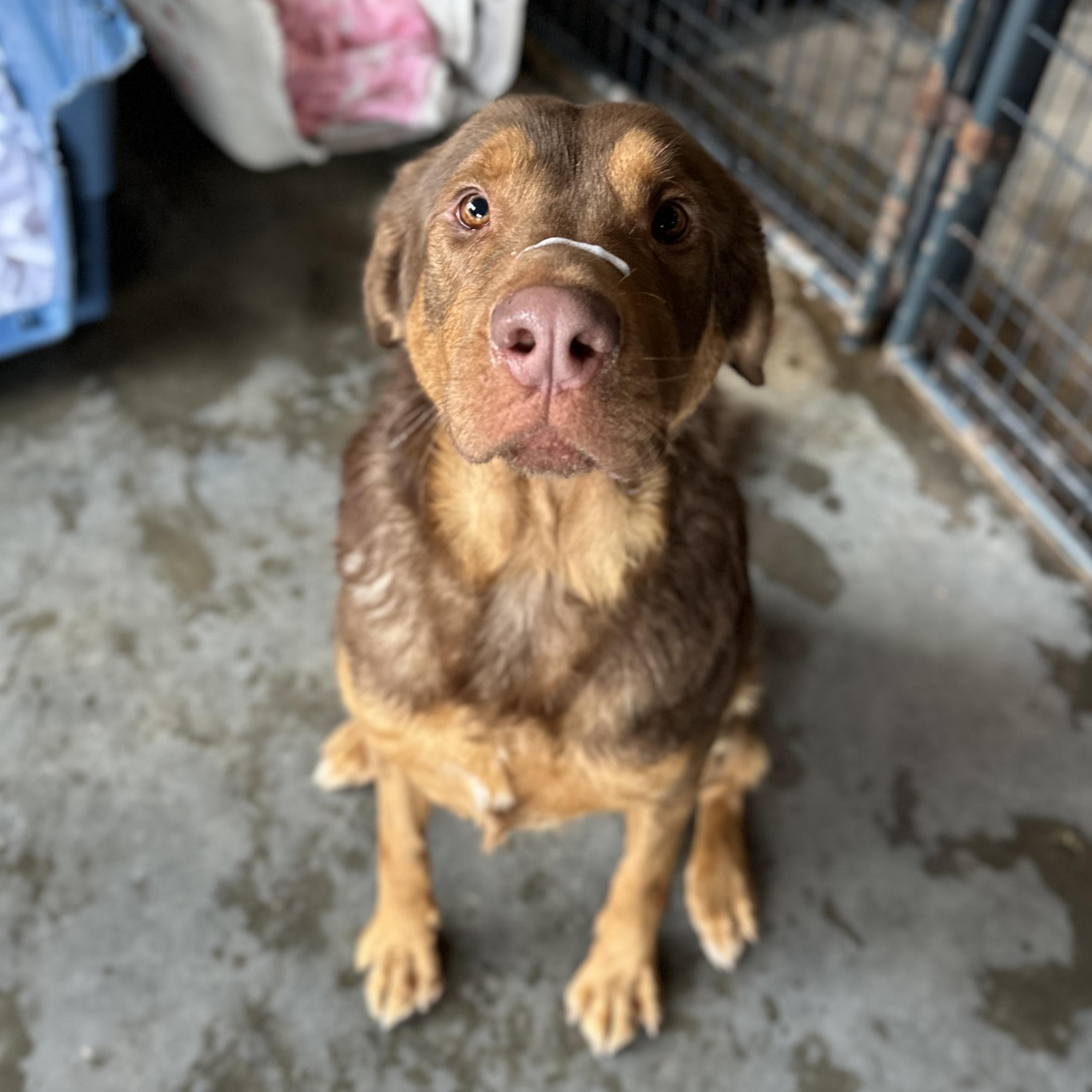 Kingston — thumbnail 4