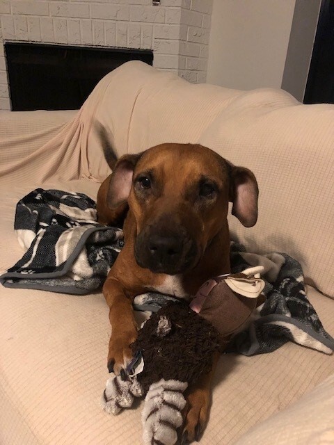 Sadie photo 2