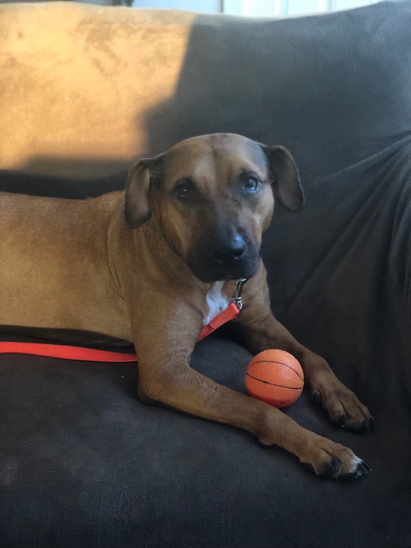 Sadie photo 5