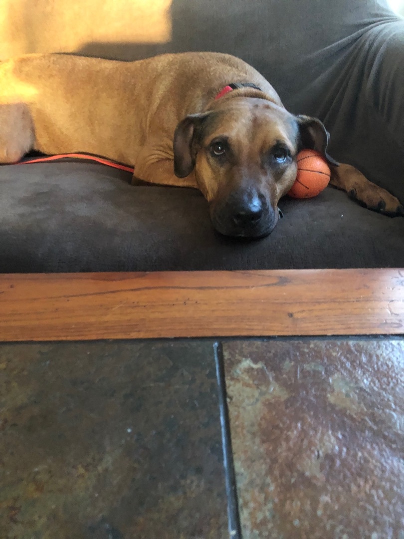 Sadie photo 6