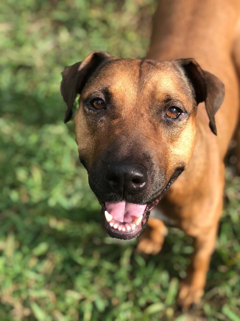 Sadie photo 4