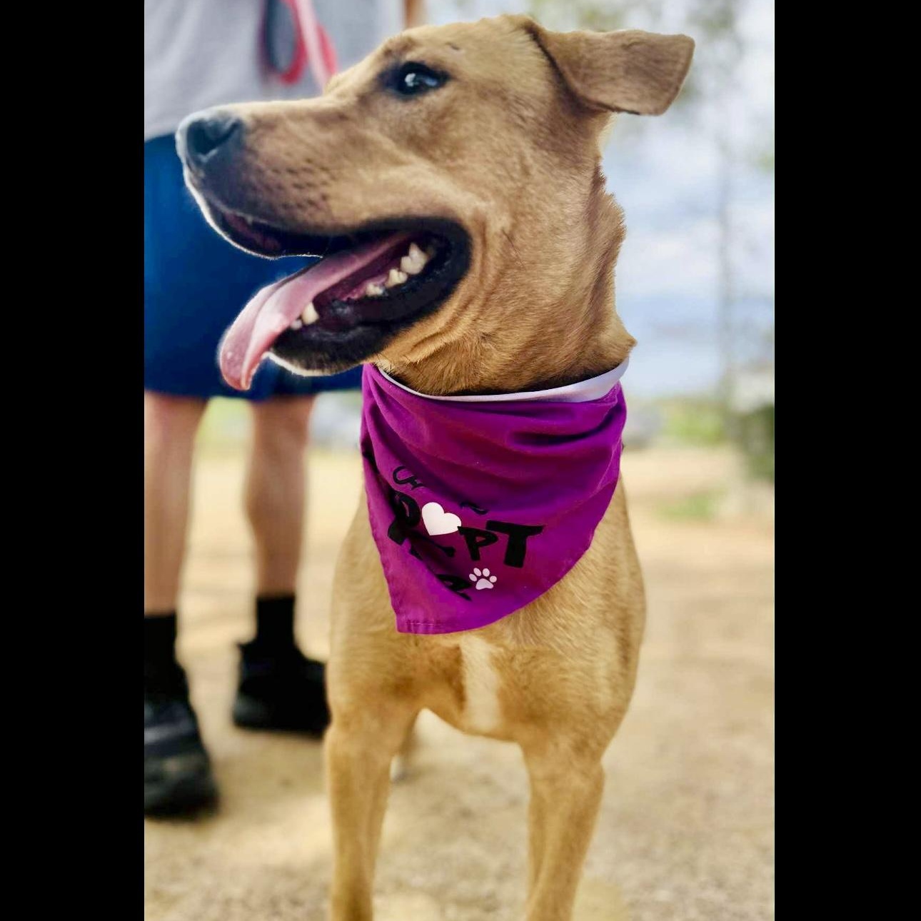 Gigi — thumbnail 3