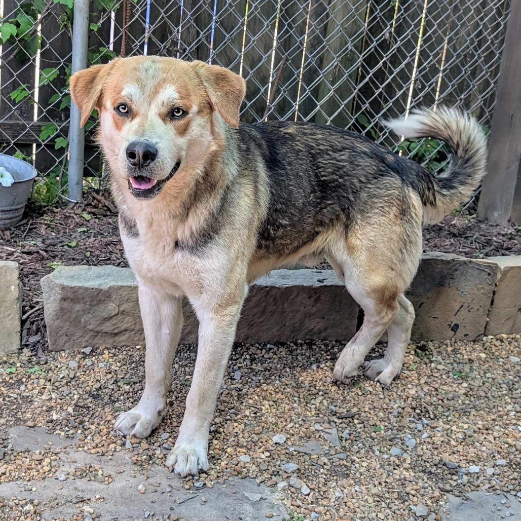 Monty — thumbnail 2