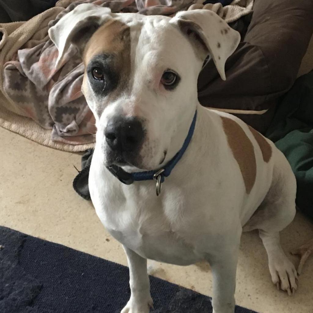 Stickers — thumbnail 2