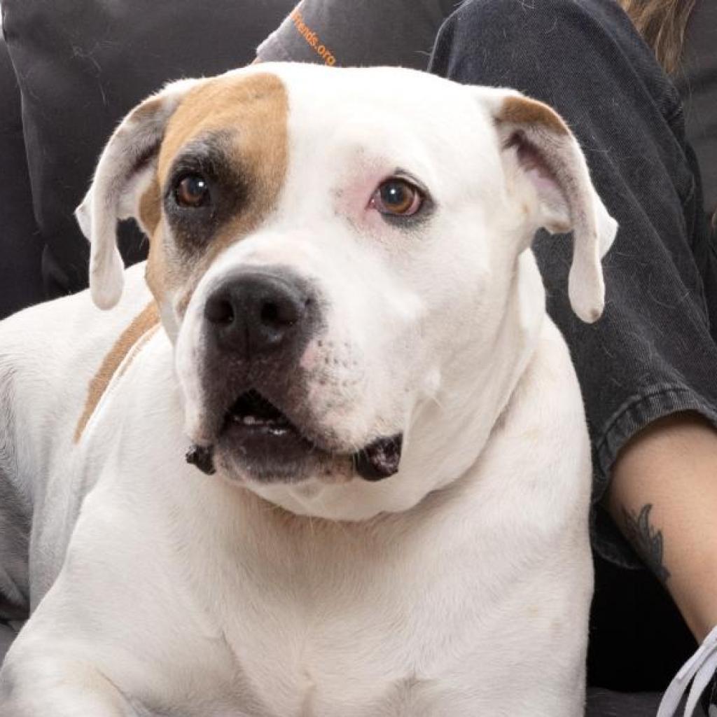 Stickers — thumbnail 3