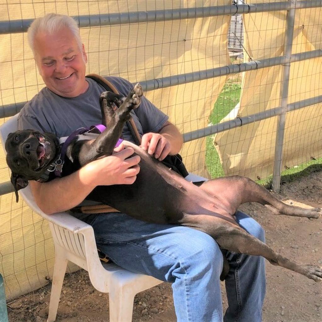 Mamba — thumbnail 4