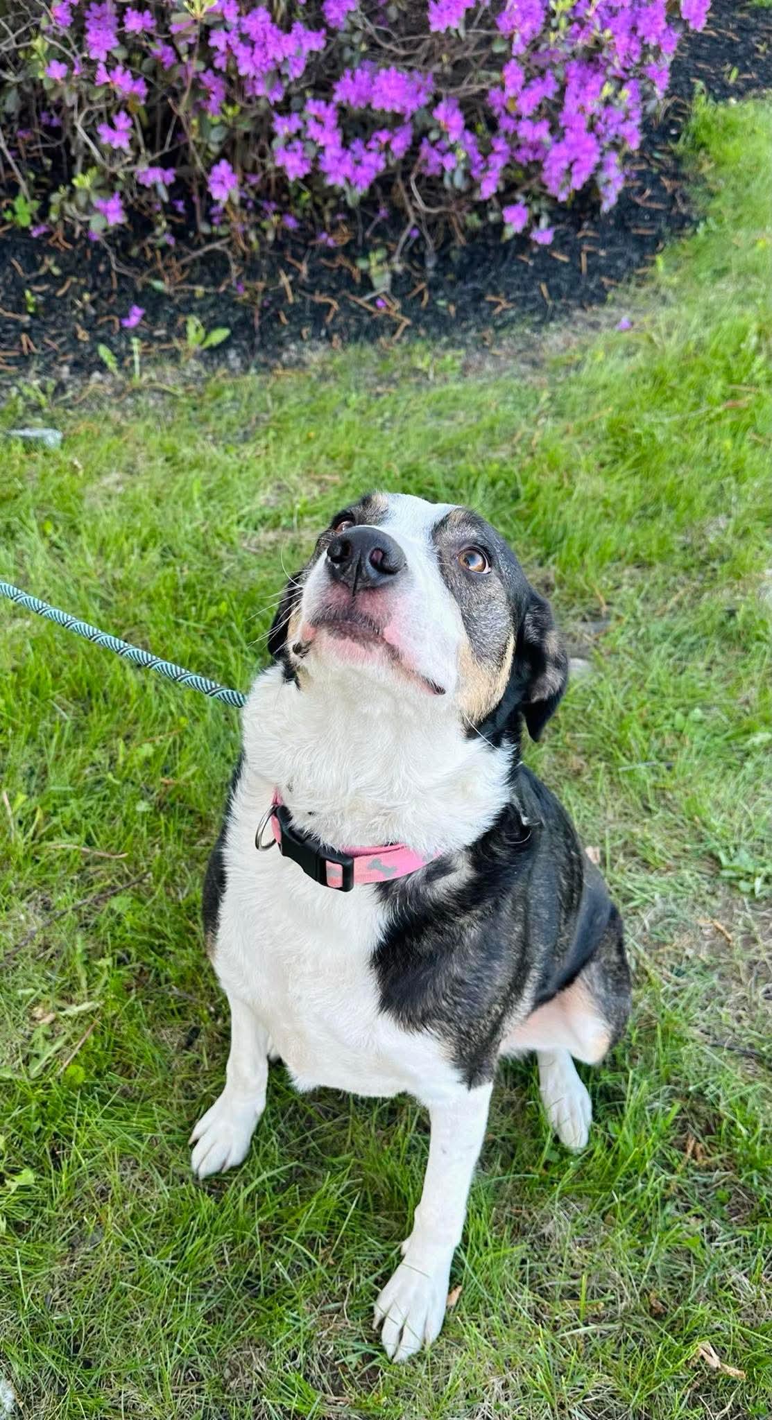 Bridget photo 3