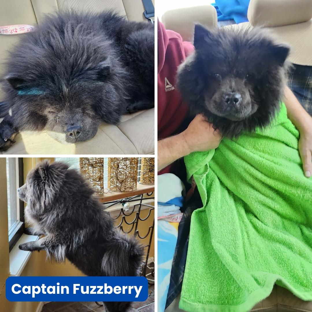 Captain Fuzzberry thumbnail 3