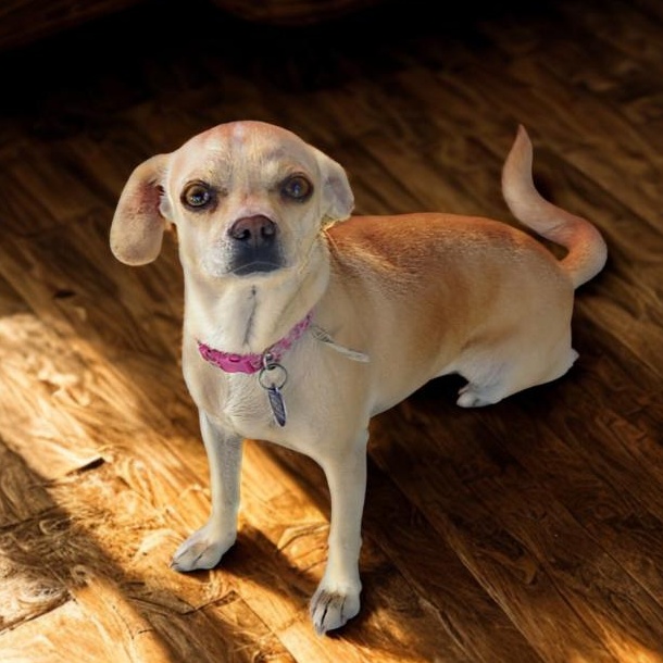 Mimi (Diamond in the Rough)