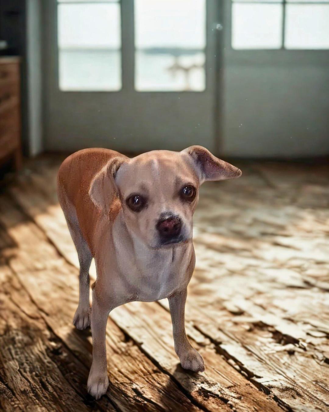 Mimi (Diamond in the Rough)