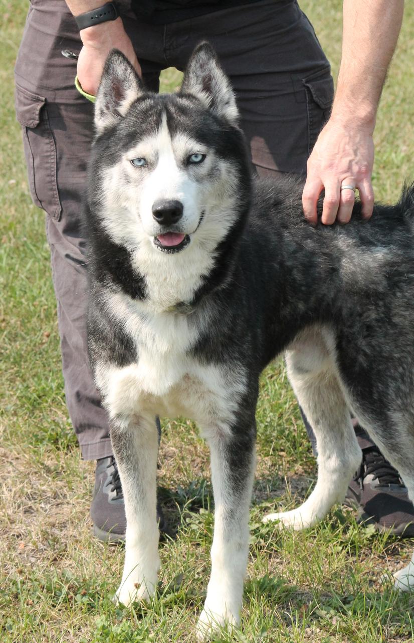 SAM (sings along to Taylor Swift)