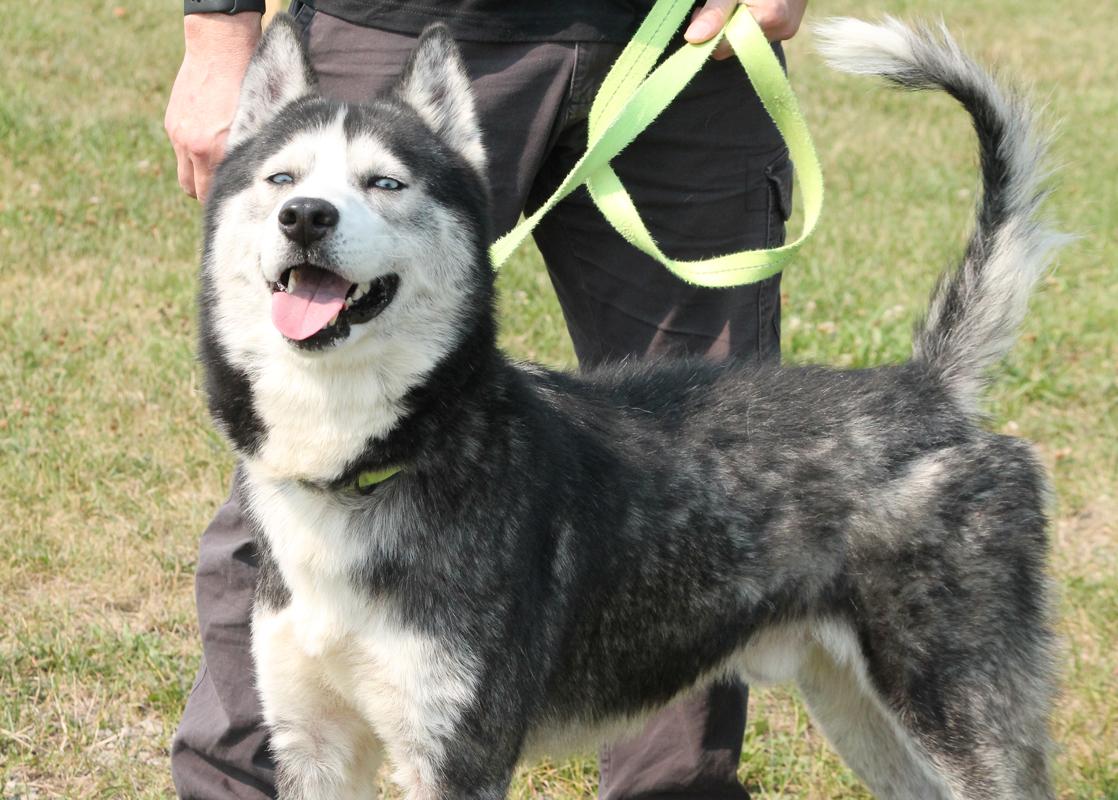 SAM (sings along to Taylor Swift)