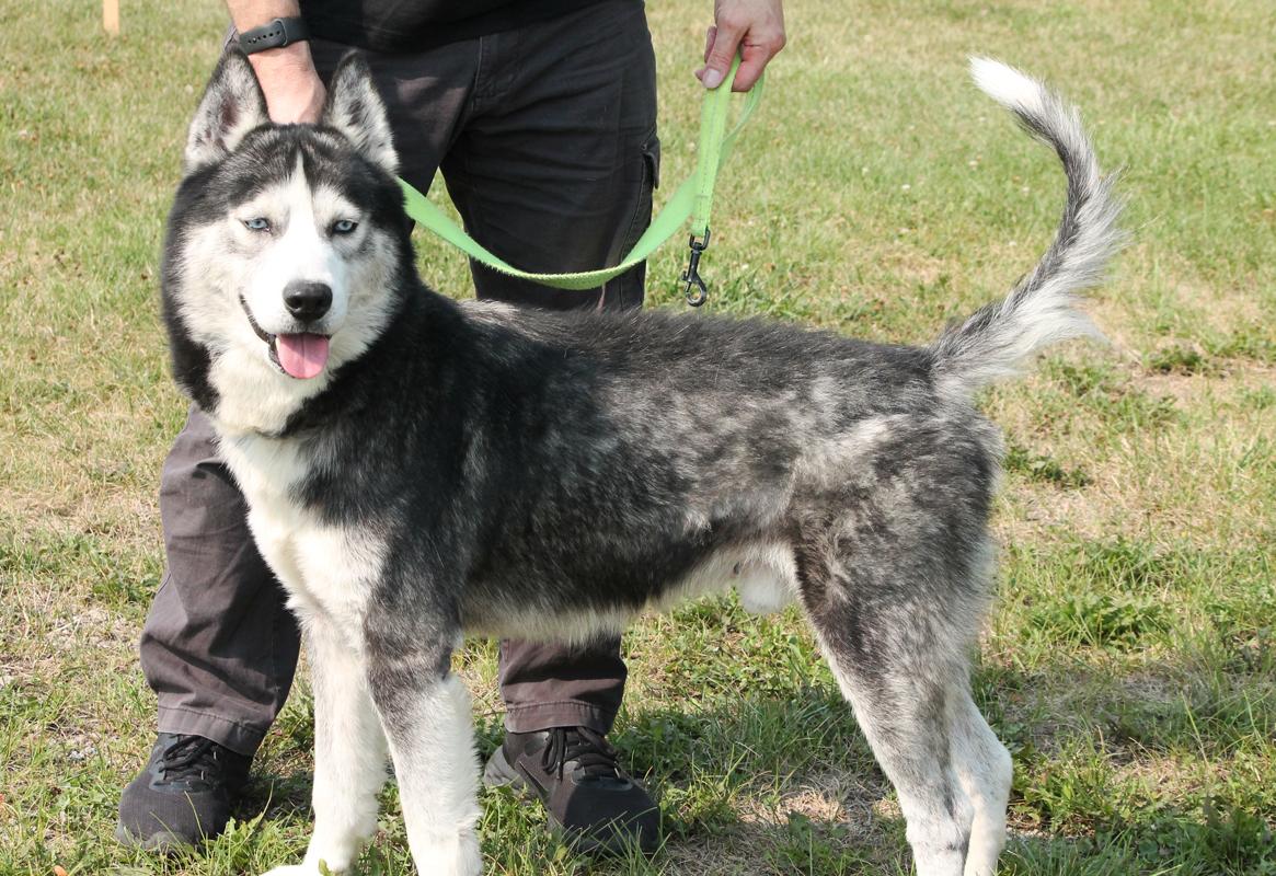 SAM (sings along to Taylor Swift)