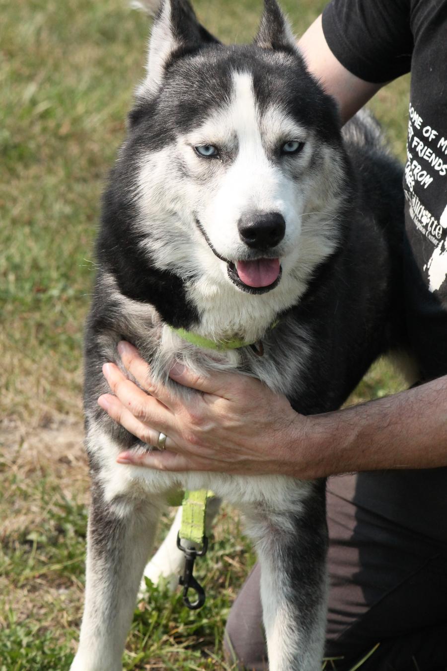 SAM (sings along to Taylor Swift)