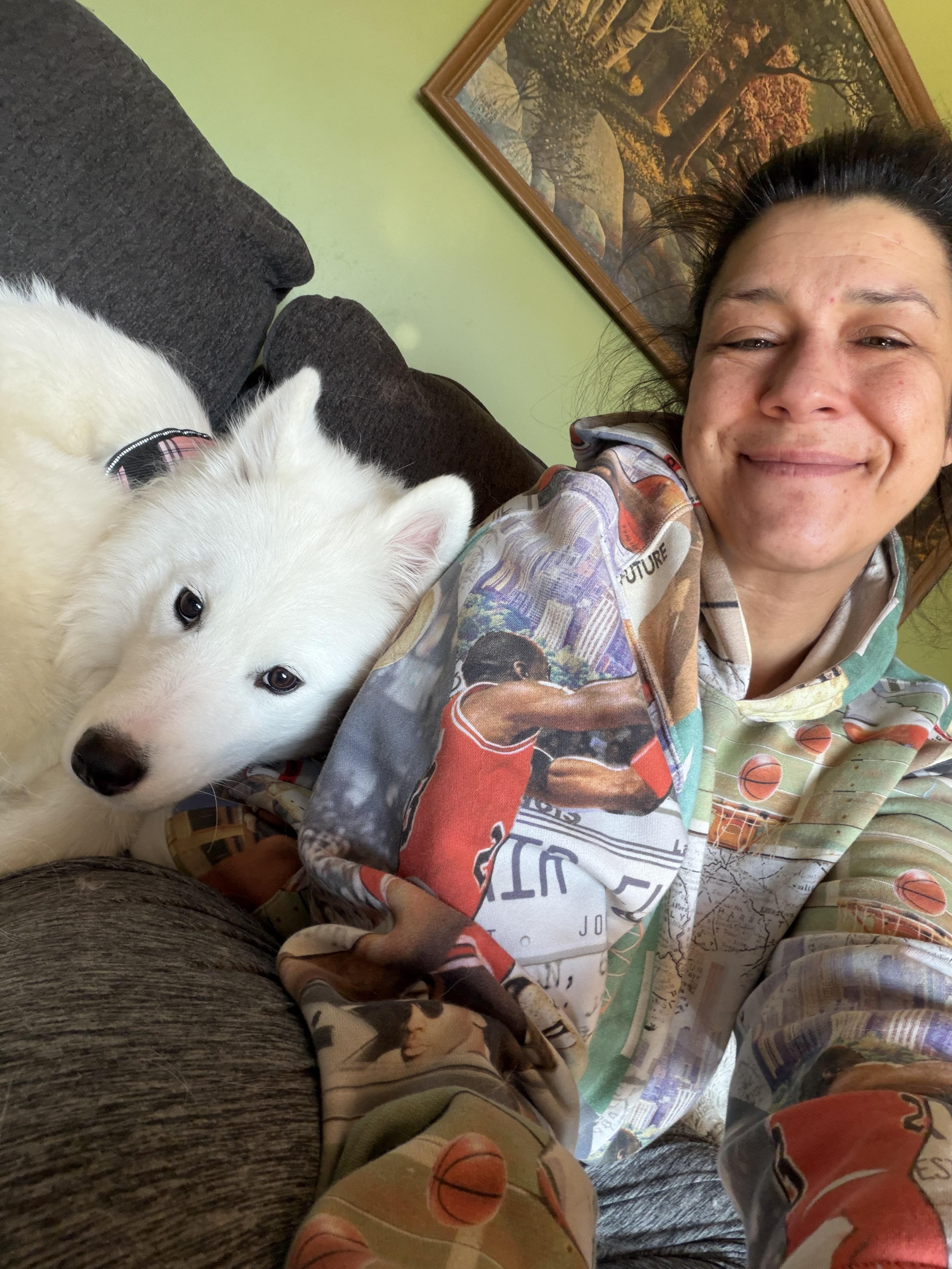 Shakka, adopted, Young Female Samoyed.