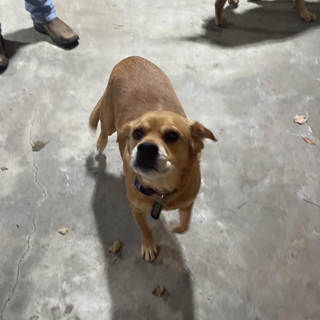 Nashville — thumbnail 3