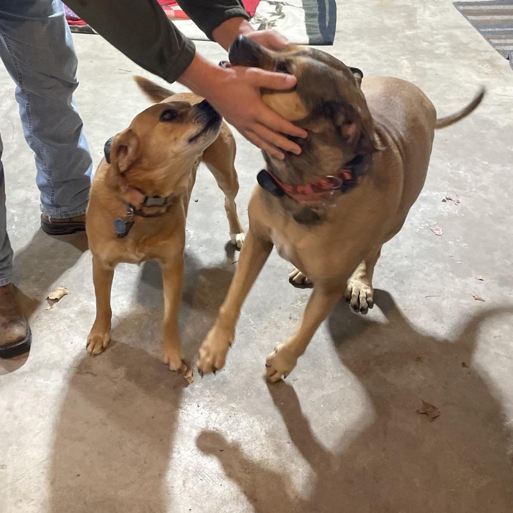 Nashville — thumbnail 4