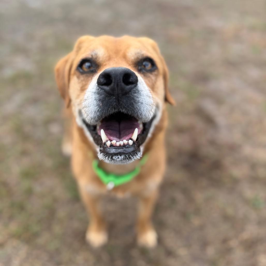 Nashville — thumbnail 5