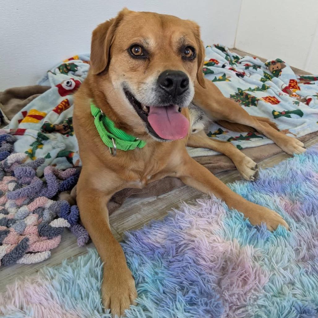 Nashville — thumbnail 6