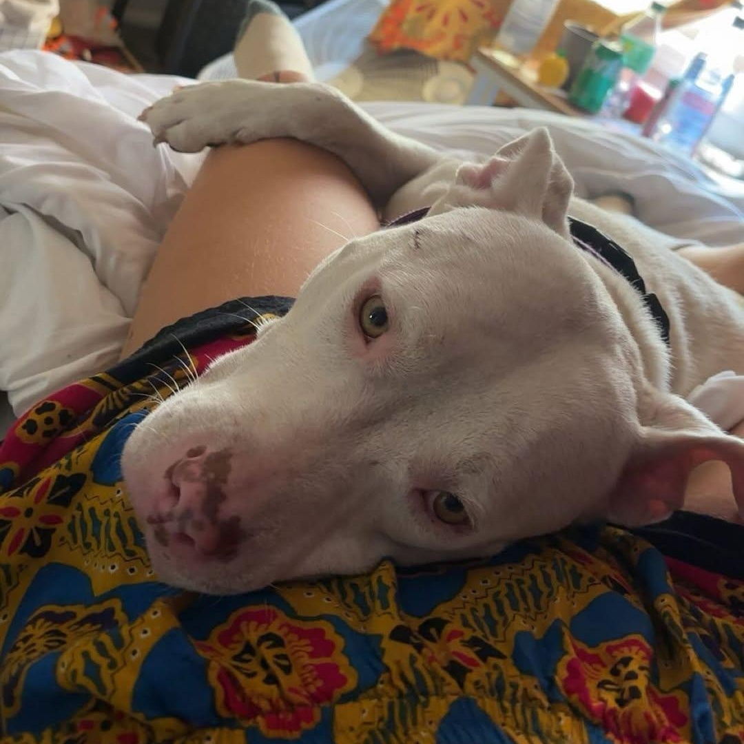 Luna