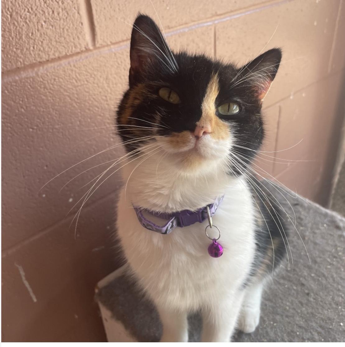 Boo Gerda thumbnail 2