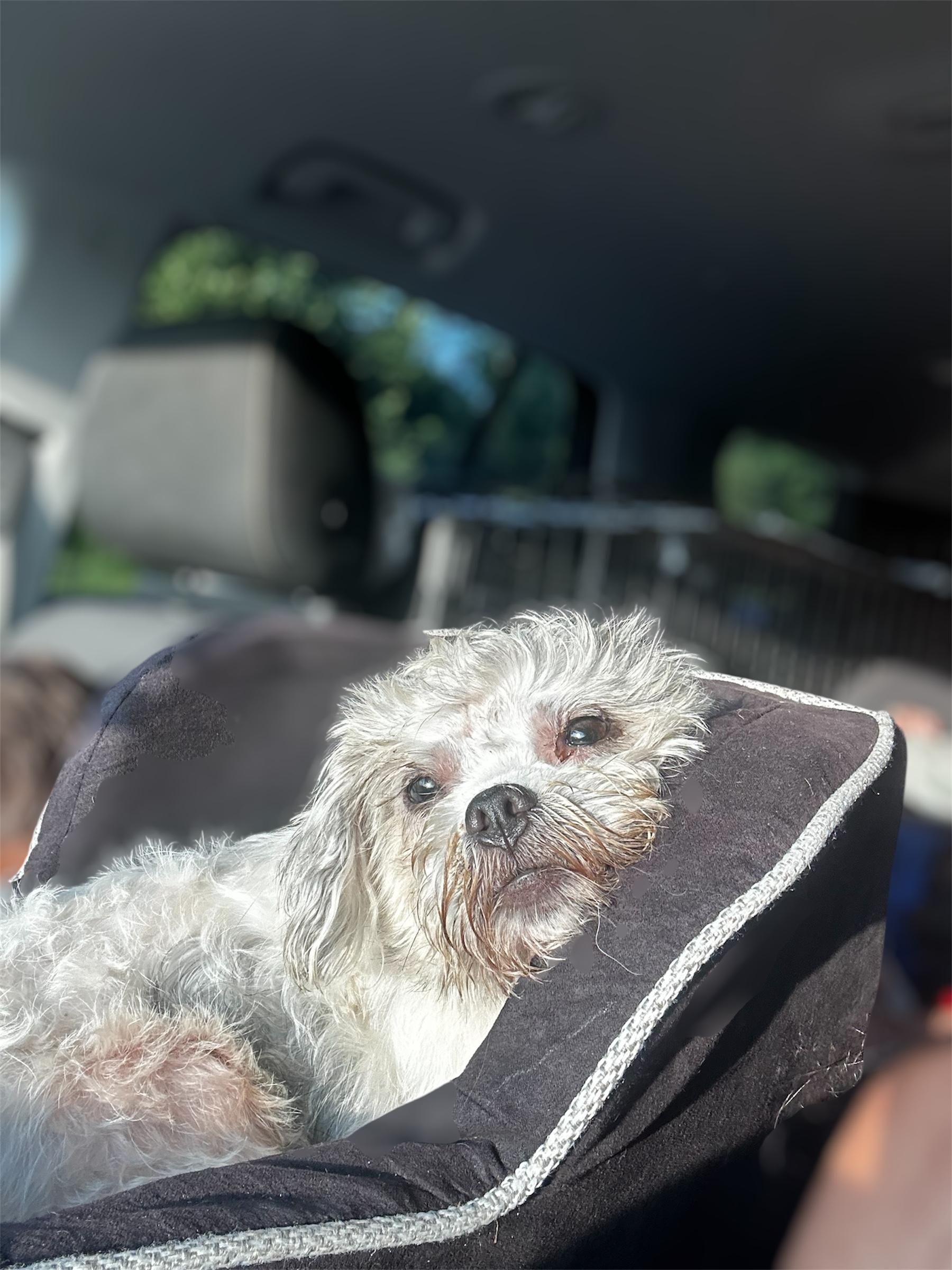Walter