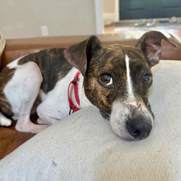 Waylon James thumbnail 2