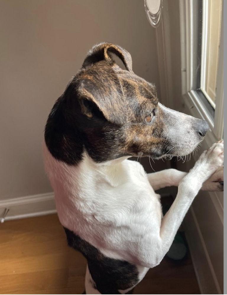 Waylon James thumbnail 4