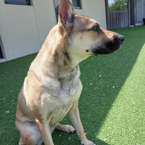 Luka AKA Pengu 5953 2