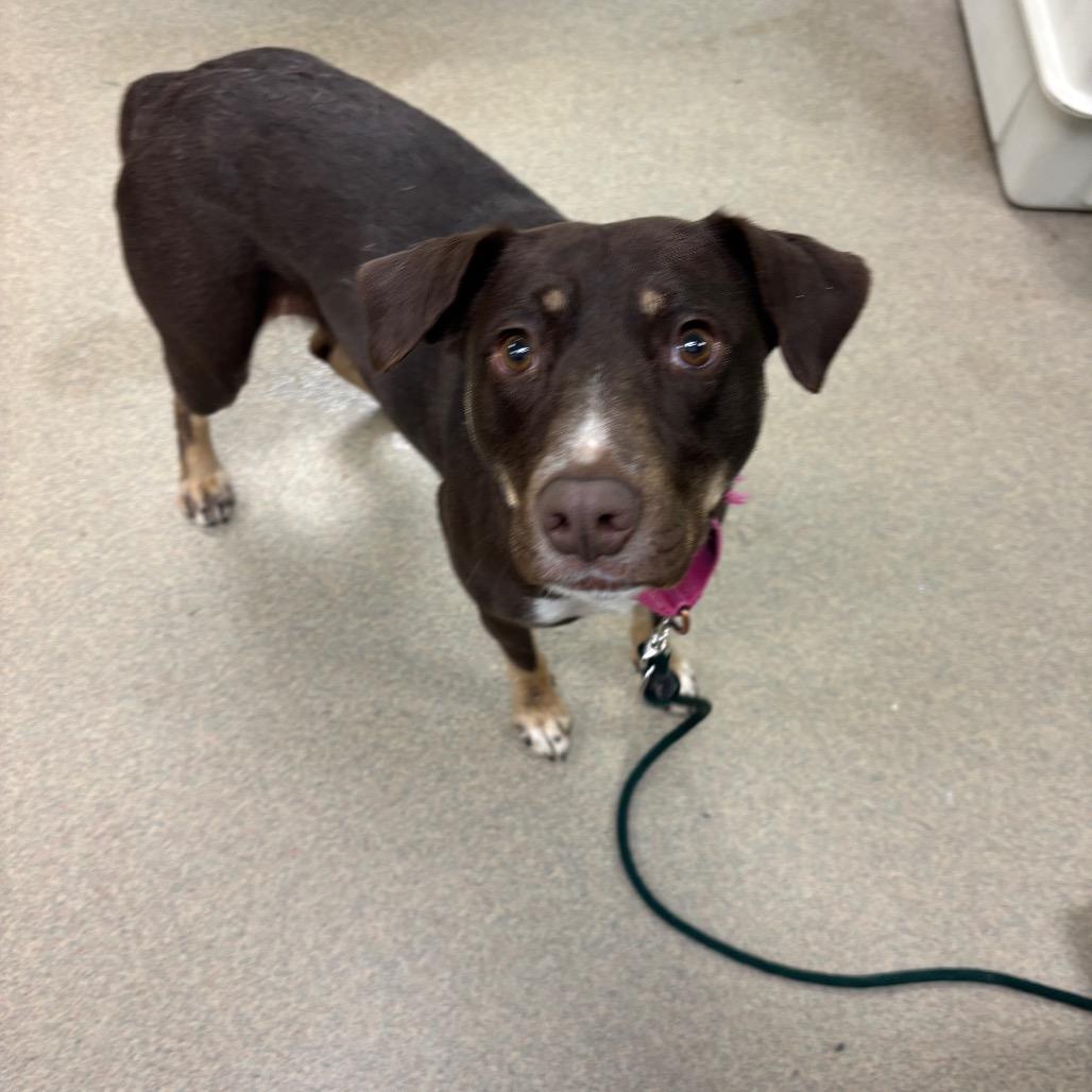 Nessa — thumbnail 2