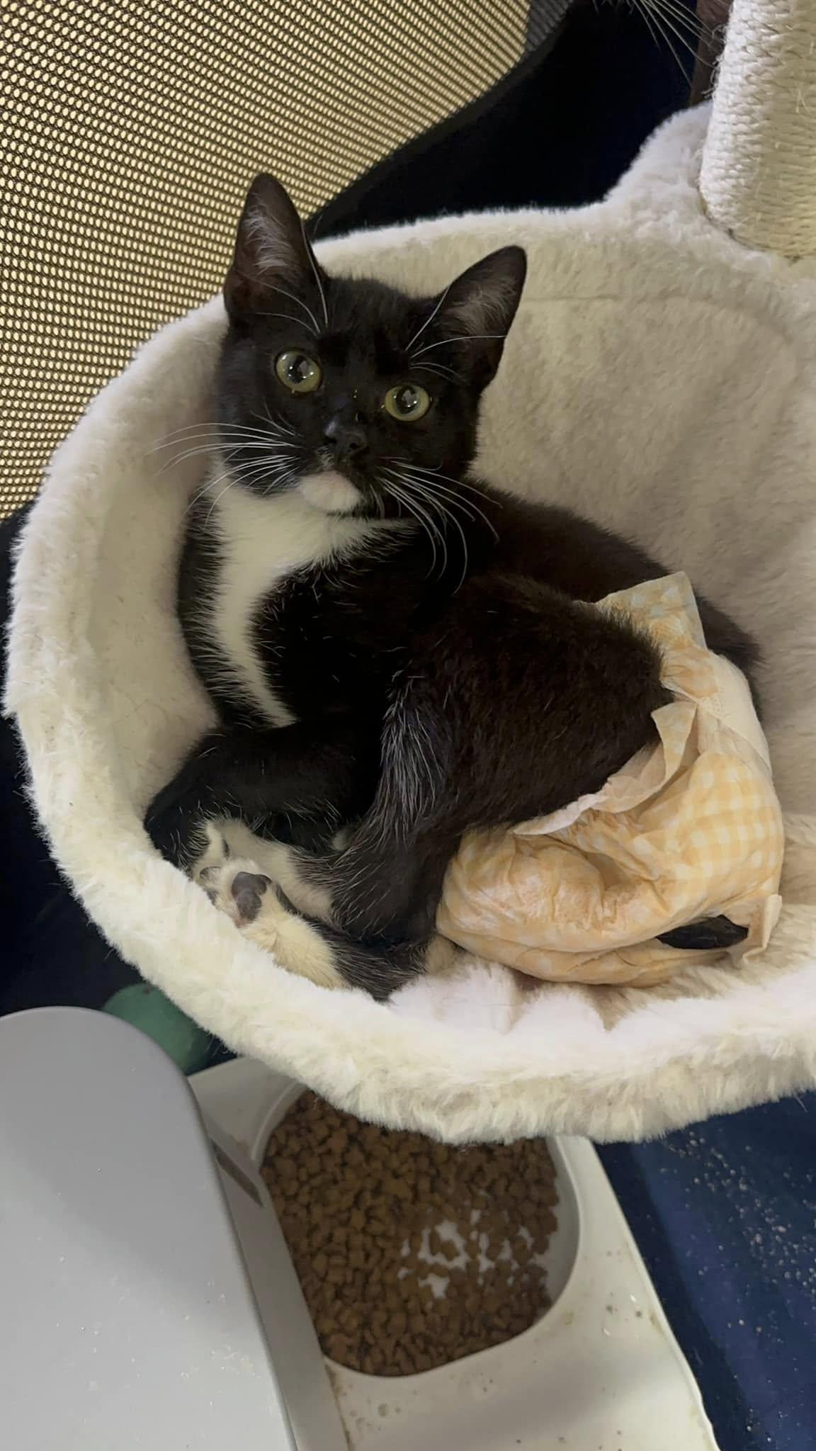 KYLIE | Special Needs