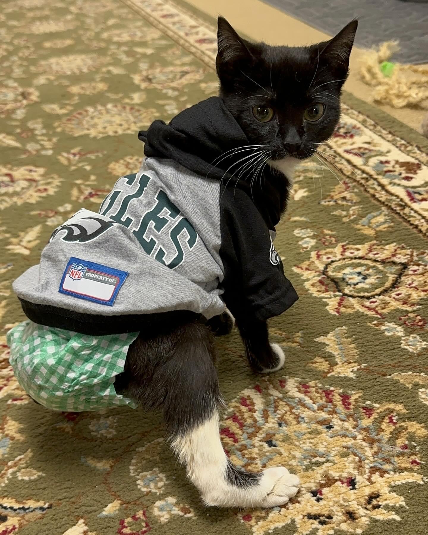 KYLIE | Special Needs