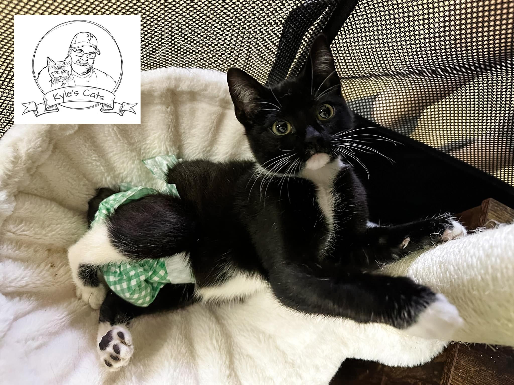 KYLIE | Special Needs