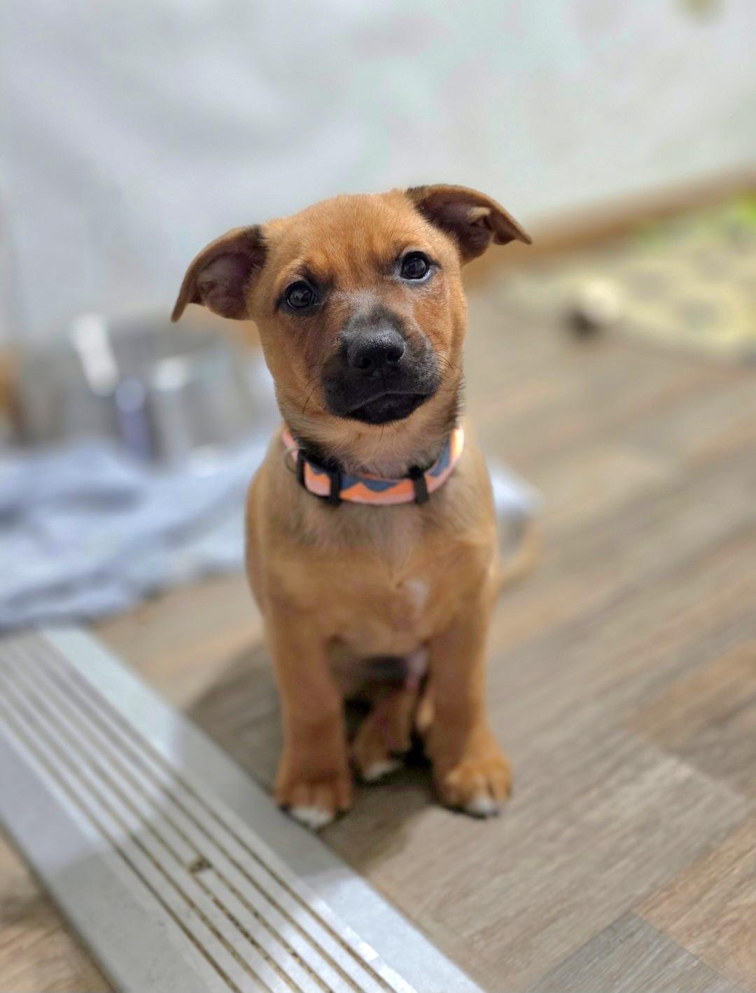 Griffin-*Rest in Peace*