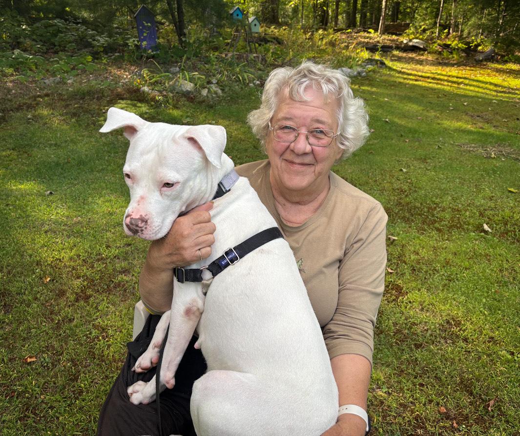 Enlarge Heaven- In Foster, a Adoptable mixed breed in Manchester, NH image 2/5