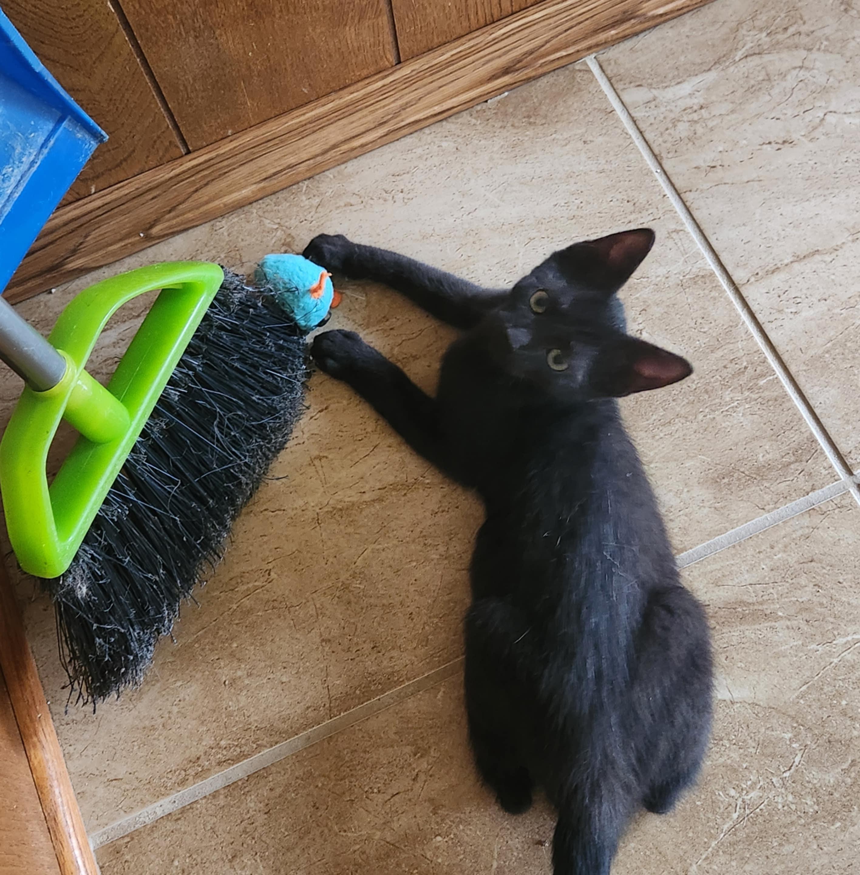 KitKat