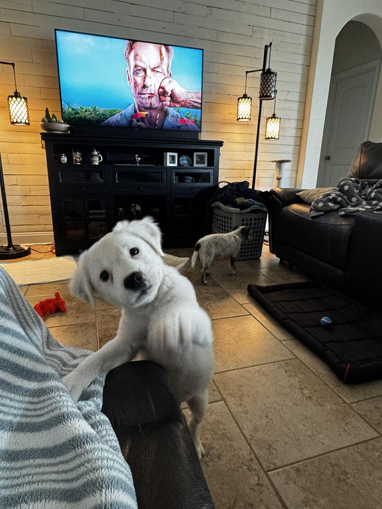 Dennis — thumbnail 3