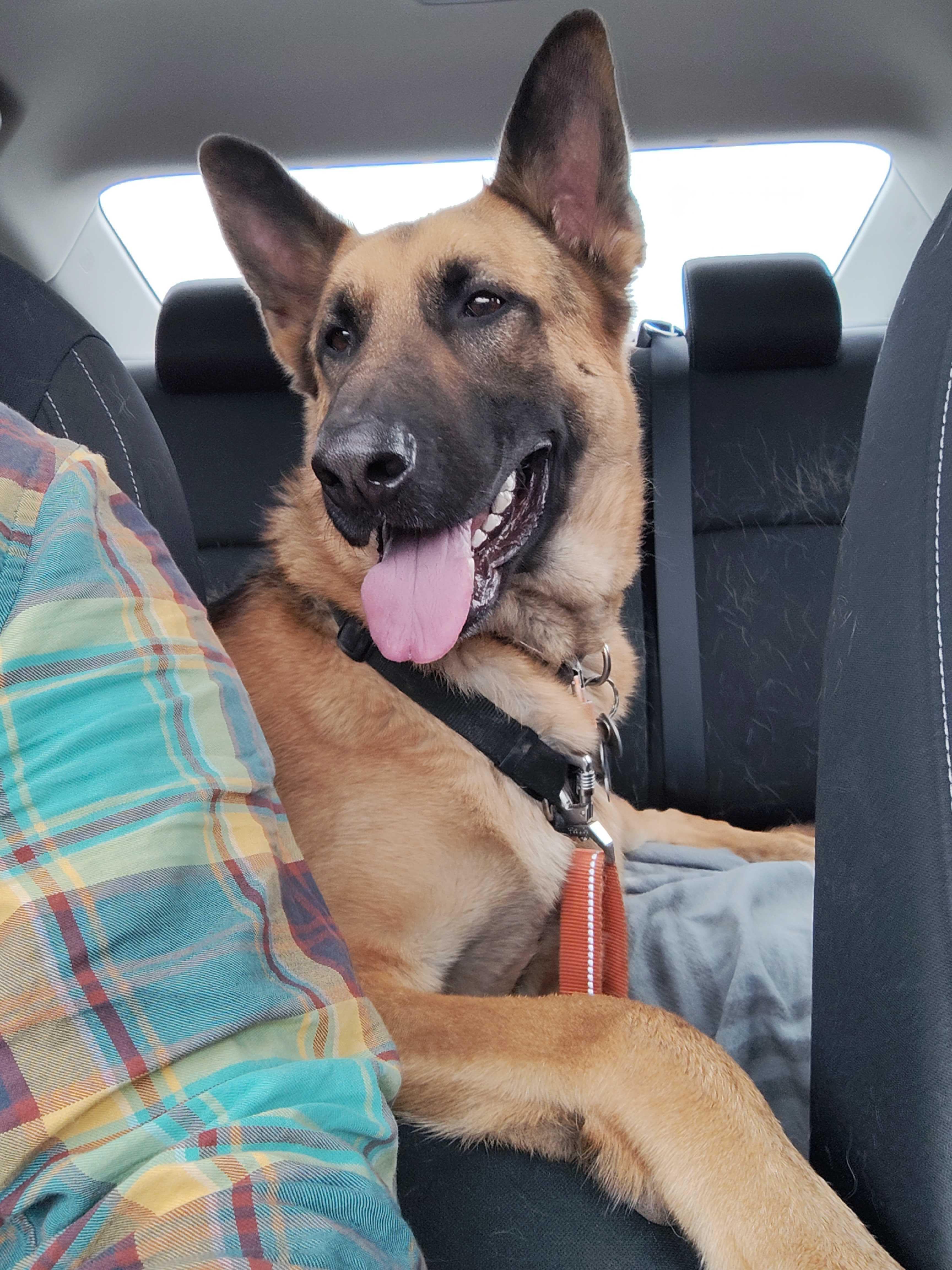 Maverick thumbnail 2