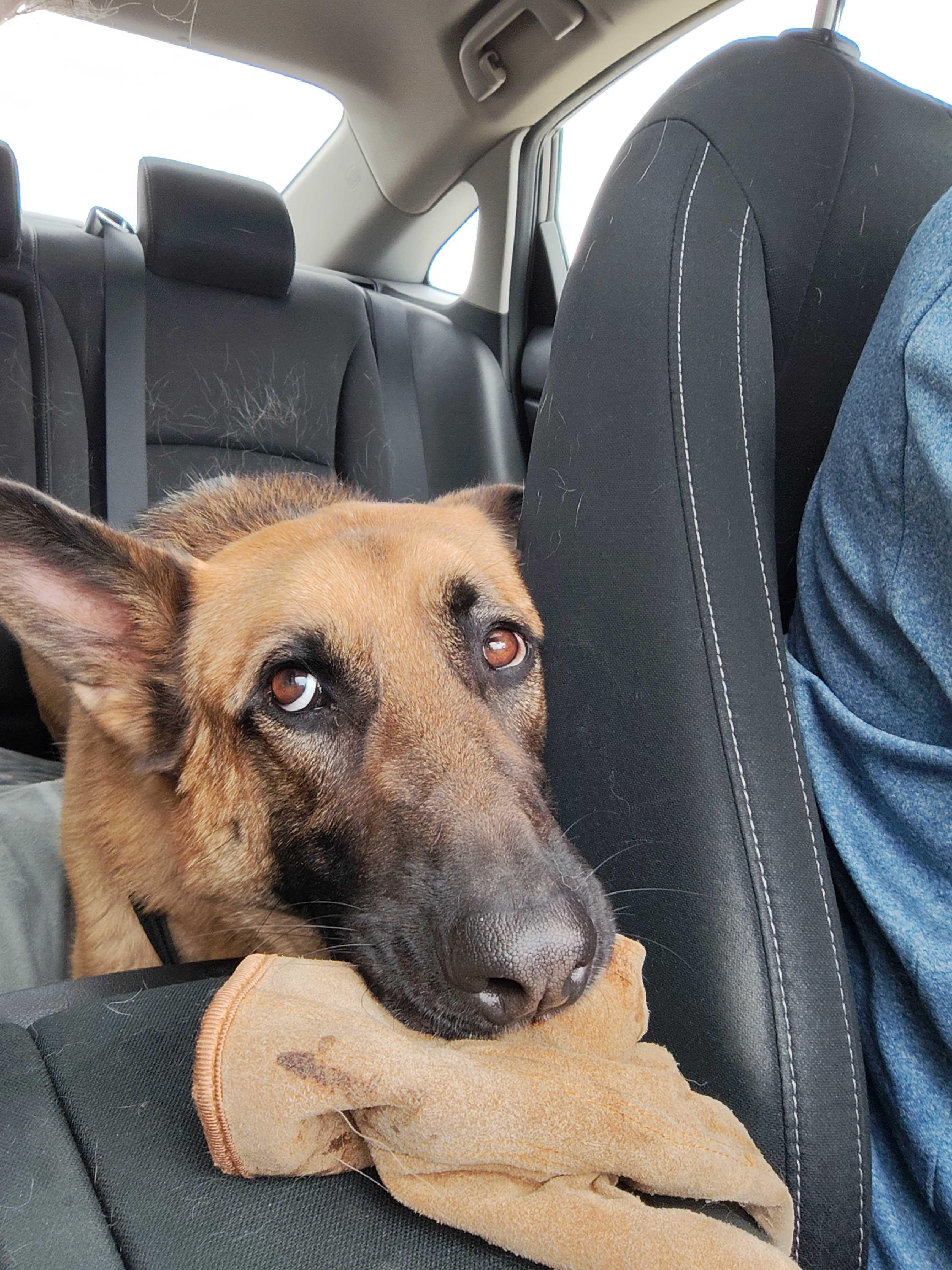 Maverick thumbnail 4