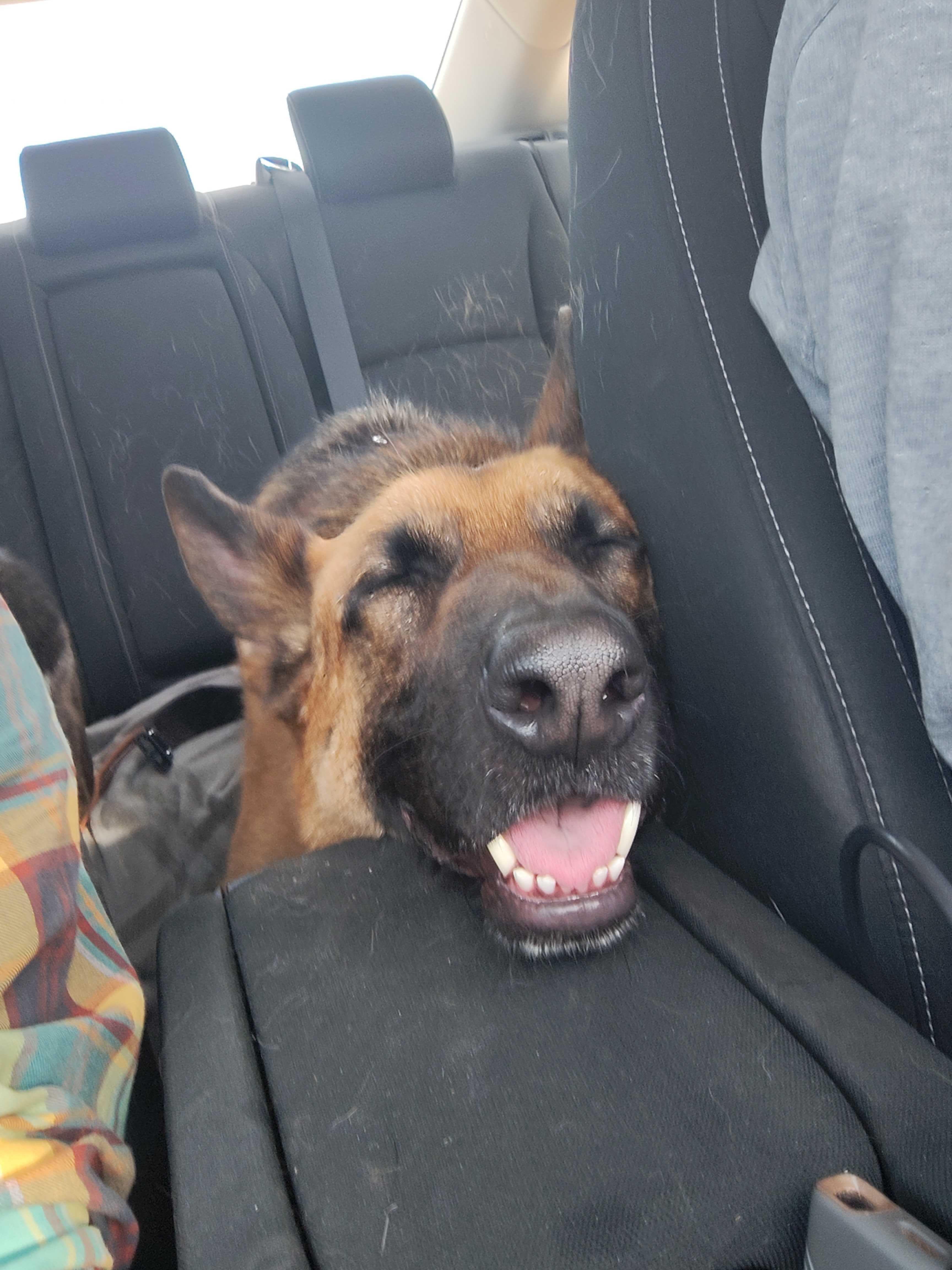 Maverick thumbnail 5