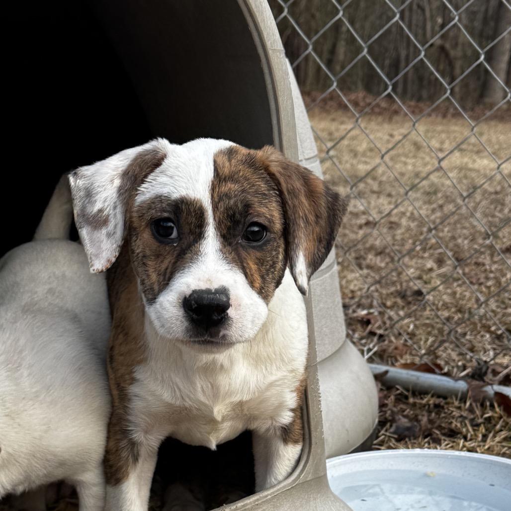 Kasey — thumbnail 2