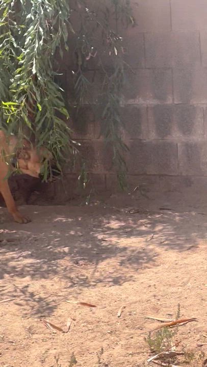 Enlarge Teddy, a Adoptable mixed breed in San Tan Valley, AZ video 5/5