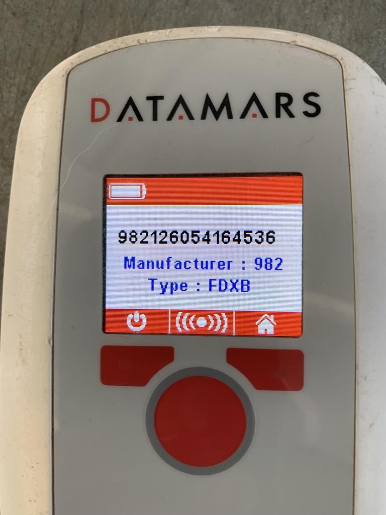 JOE/ ALEX*, a Adopted mixed breed in Belton, TX image 3/3