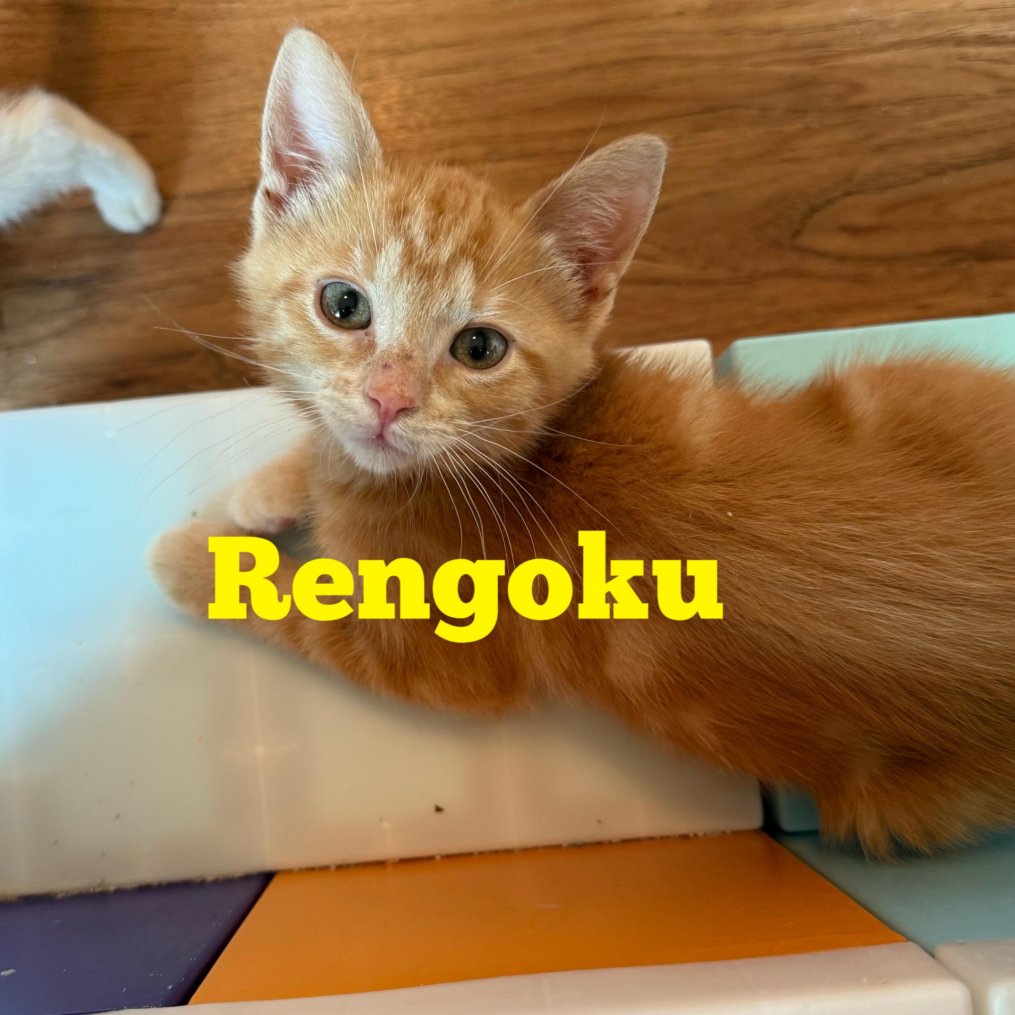 Giyu & Rengoku