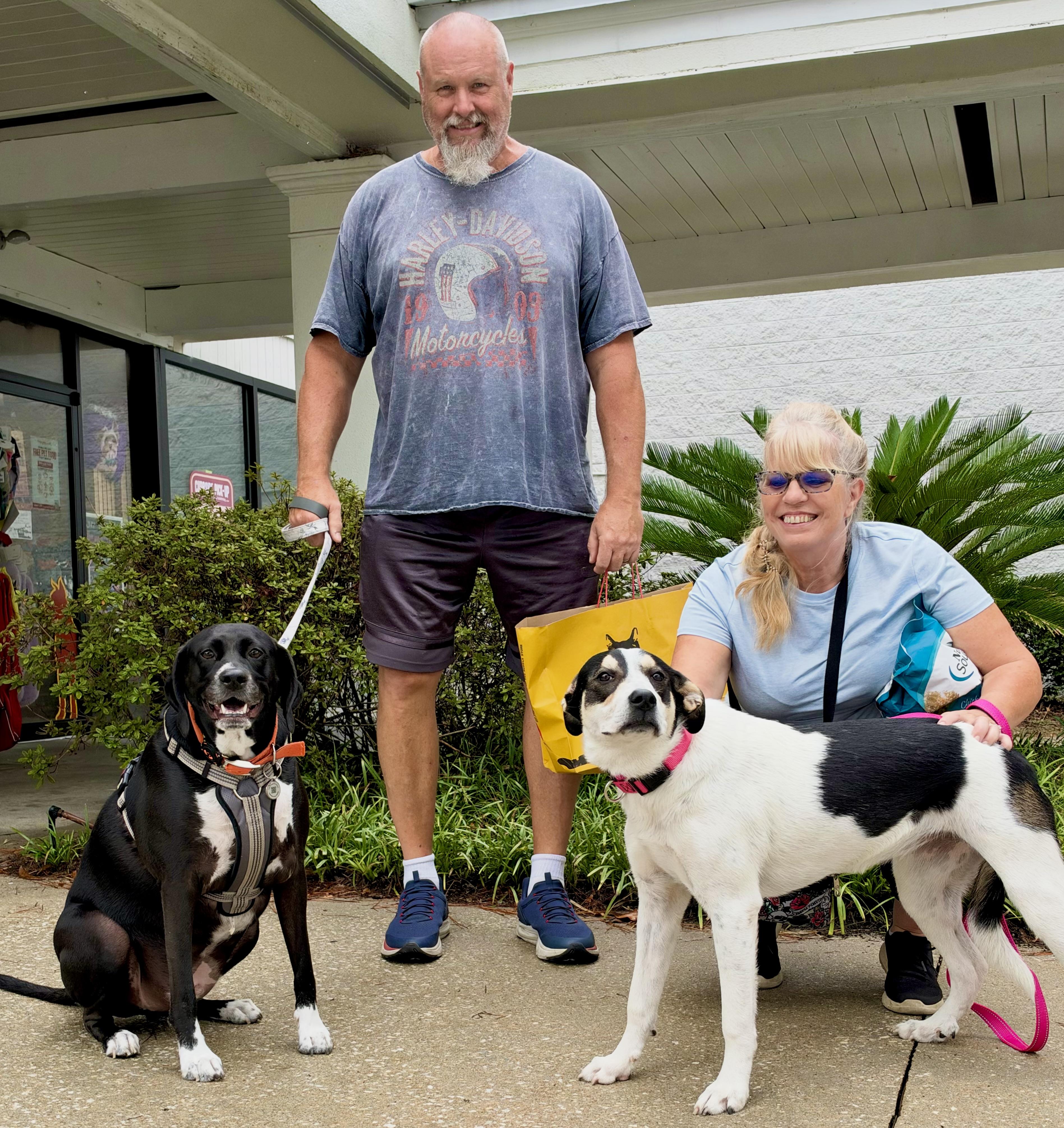 Enlarge Maya, a Adopted mixed breed in Mt Pleasant, SC image 6/6